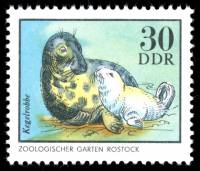 (1975-026) Марка Германия (ГДР) "Серый тюлень"    Животные зоопарка II Θ