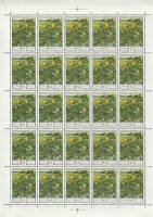 1975-107  Лист (25 м 5х5) СССР Ветреница лютичная  Флора III O