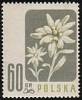 (1957-030) Марка Польша "Эдельвейс альпийский" , III Θ