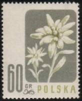 (1957-030) Марка Польша "Эдельвейс альпийский" , III Θ