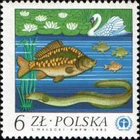 (1983-004) Марка Польша "Лебедь, карп и угорь"    Охрана природы III Θ