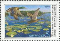 (1990-057) Марка СССР "Обыкновенная кряква"   Утки III Θ
