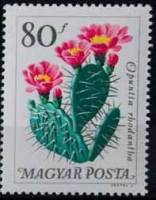 (1965-079) Марка Венгрия "Опунция"    Цветы ботанического сада II Θ