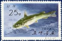 (1975-052) Марка Северная Корея "Амурский сом"   Промысловые рыбы III Θ