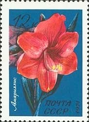 1971-124 Марка СССР Амариллис   Тропические и субтропические растения III O