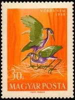 (1959-027) Марка Венгрия "Рыжая цапля"    Водоплавающие птицы II Θ
