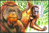 (№1999-26) Блок марок Малайзия 1999 год "Борнео Орангутанг Понго pygmaeus", Гашеный