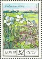 1975-108 Марка СССР Ветреница лесная  Флора III Θ