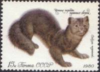 1980-059a  Марка СССР Двойная печать чёрного цвета   Ценные породы пушных зверей III O