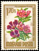 (1965-029) Марка Венгрия "Годеция"    20-я годовщина освобождения. Букеты цветов III Θ