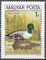 (1980-053) Марка Венгрия "Широконоска"    Европейская природоохранная кампания "Защита жизни и приро