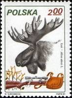 (1981-022) Марка Польша "Лось"    Охота III Θ