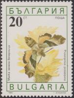 (1990-047) Марка Болгария "Бражник прозерпина"   Бабочки III O