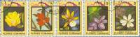 (1983-079a) Сцепка (5 м) Куба "Цветы"    Цветы III Θ
