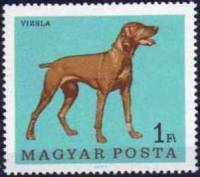 (1967-036) Марка Венгрия "Венгерская выжла"    Собаки III Θ