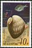 (1977-086) Марка Северная Корея "Раковина ковчега"   Морские улитки и рыбы III Θ