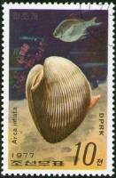 (1977-086) Марка Северная Корея "Раковина ковчега"   Морские улитки и рыбы III Θ