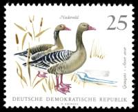 (1968-027) Марка Германия (ГДР) "Серый гусь"    Фауна III Θ