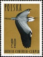 (1964-037) Марка Польша "Серая цапля"   Водоплавающие птицы III Θ