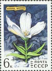 1977-028 Марка СССР Ясколка крупная  Цветы гор Сибири III &Theta;