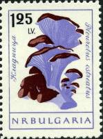 (1961-077) Марка Болгария "Вешенки"   Грибы (1) III Θ