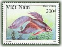 (1992-094) Марка Вьетнам "Коричнево-фиолетовая"    Сиамские бойцовые рыбы III O