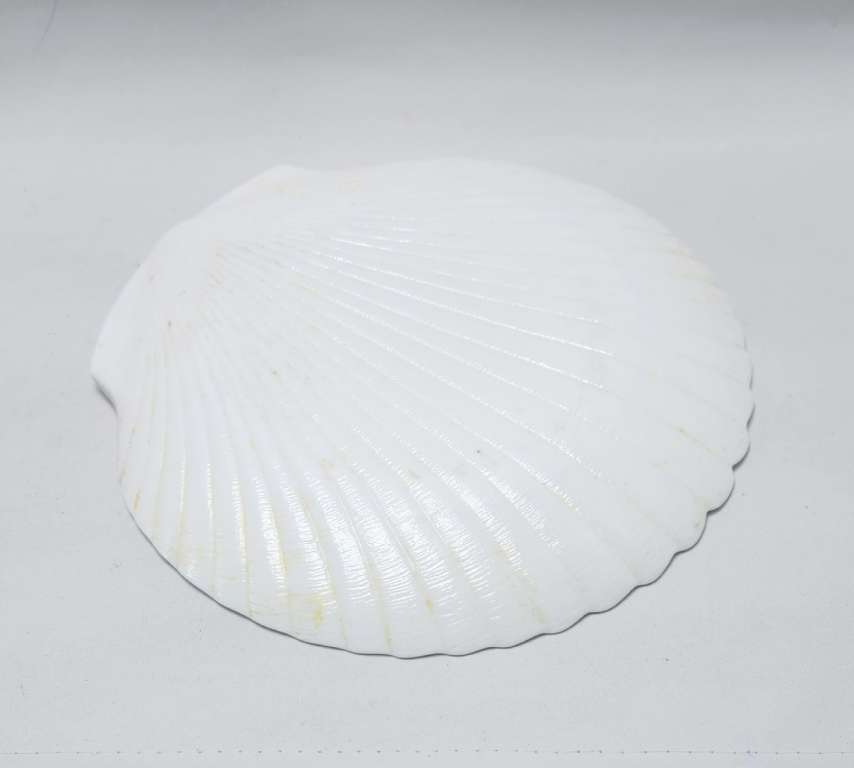 Блюдо Ракушка 27х28 см 