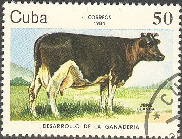 (1984-069) Марка Куба &quot;Корова&quot;    Развитие животноводства III Θ