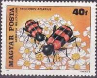 (1980-82) Марка Венгрия "Пестряк пчелиный"    Насекомые, опыляющие цветы I Θ