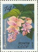 1971-125 Марка СССР Мединилла великолепная   Тропические и субтропические растения II Θ