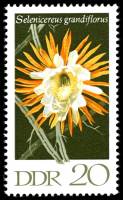 (1970-103) Марка Германия (ГДР) "Королева ночи"    Кактусы III Θ