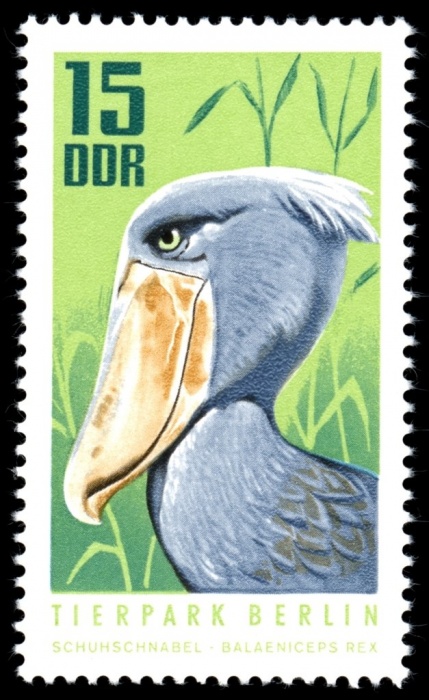 (1970-093) Марка Германия (ГДР) &quot;Китоглав&quot;    Зоопарк, Берлин II Θ