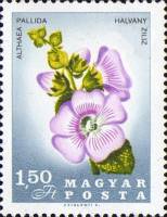 (1967-004) Марка Венгрия "Штокроза розовая" ,  III O