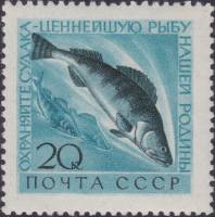 1960-077 Марка СССР Судак   Фауна СССР. Охрана ценных рыб и морских животных II Θ