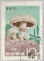 (1968-013) Марка Северная Корея "Шампиньон"   Грибы III O