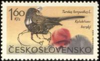 (1965-071) Марка Чехословакия "Дрозд"    Горные птицы II Θ