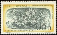 (1957-041) Марка Чехословакия "Эдельвейс альпийский"    Национальный парк, Татра III Θ