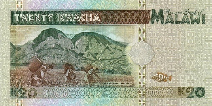 () Банкнота Малави 1995 год 20  &quot;&quot;   UNC