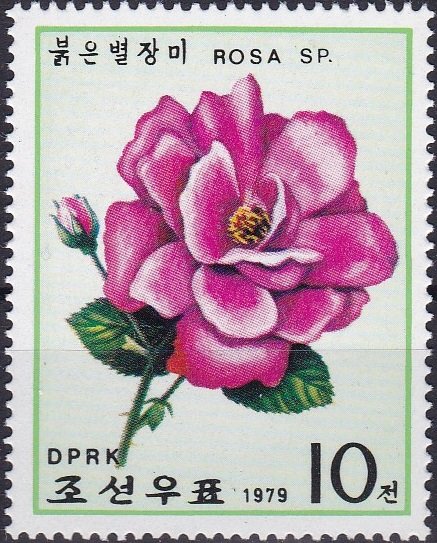 (1979-013) Марка Северная Корея &quot;Сиреневая роза&quot;   Розы III Θ