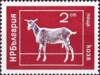 (1974-015) Марка Болгария "Коза"    Домашние животные II Θ