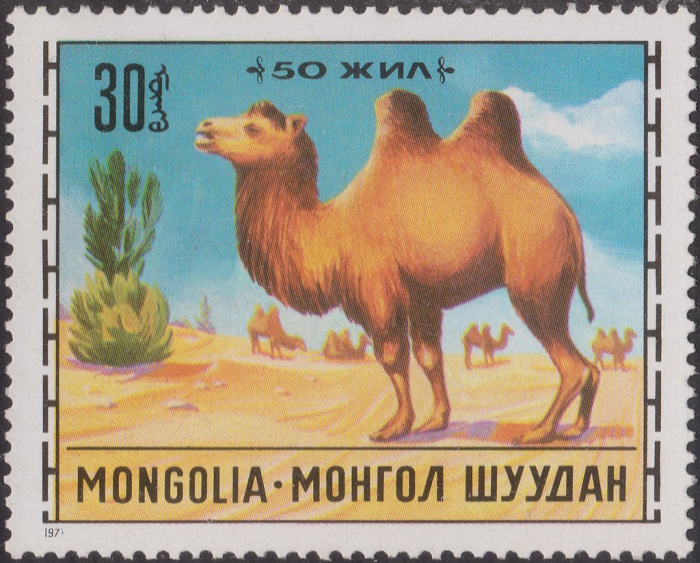 (1971-044) Марка Монголия &quot;Двугорбый верблюд&quot;    Животноводство III Θ