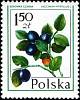 (1977-008) Марка Польша "Черника"    Лесные ягоды III O