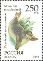 1993-069 Марка Россия Гавайский тюлень-монах  Фауна III O
