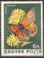 (1974-085) Марка Венгрия "Червонец щавелевый"    Бабочки II Θ