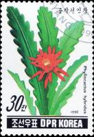 (1990-026) Марка Северная Корея "Филлокактус "   Кактусы III Θ