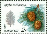 1980-089  Марка СССР Сибирский кедр   Охраняемые породы деревьев и кустарников III Θ