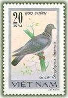 (1978-005a) Марка Вьетнам "Пятнистая горлица"  Без перфорации  Певчие птицы III Θ
