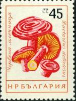 (1961-075) Марка Болгария "Волнушка"   Грибы (1) III Θ