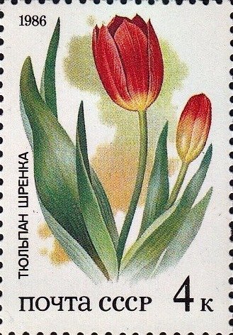 (1986-)Набор СССР &quot;Растения степи России&quot;  III O