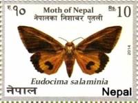 (№2014-1160) Марка Непал 2014 год "Salaminia Eudocima", Гашеная
